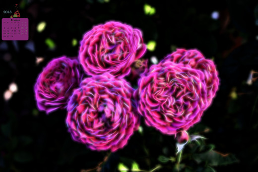 1295393 (a): :3072x2048